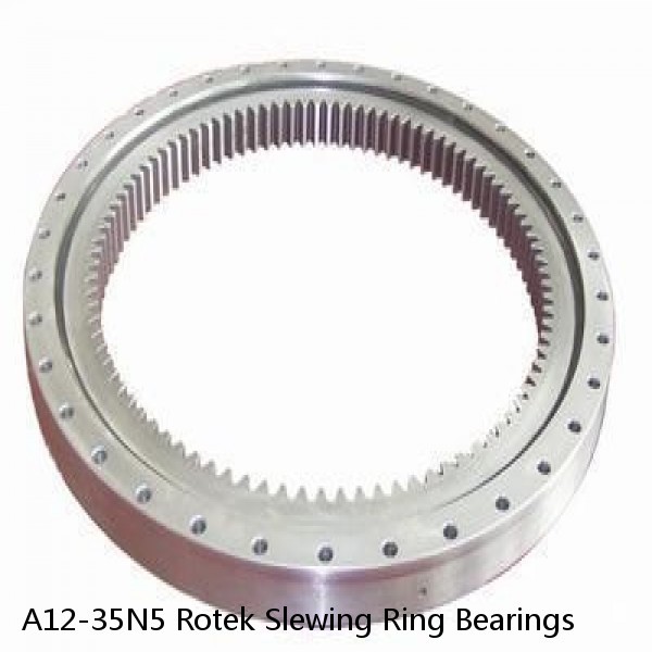 A12-35N5 Rotek Slewing Ring Bearings