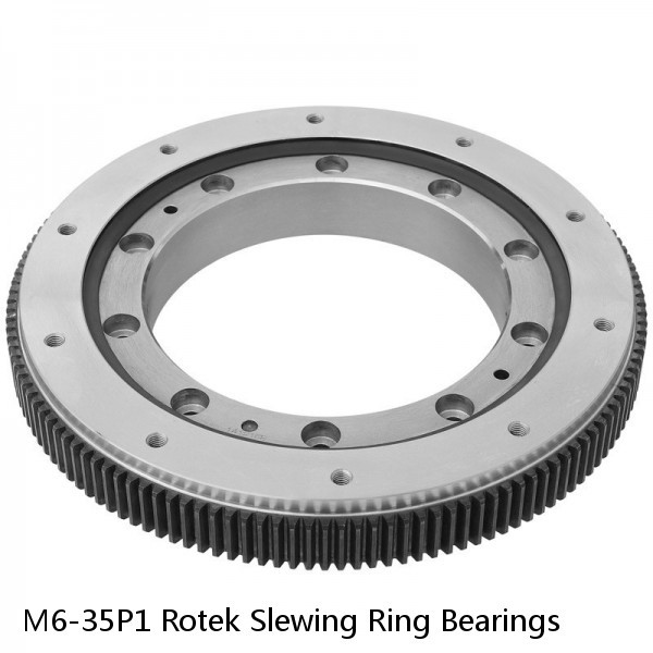 M6-35P1 Rotek Slewing Ring Bearings