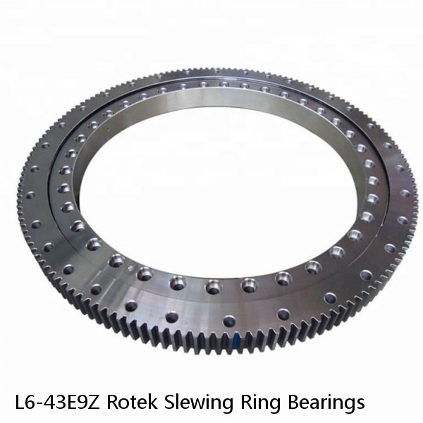 L6-43E9Z Rotek Slewing Ring Bearings