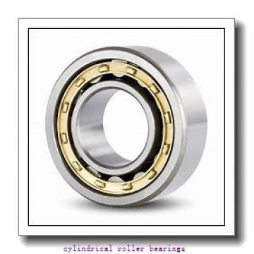 220 mm x 400 mm x 165.1 mm  Rollway E5244UMR Cylindrical Roller Bearings