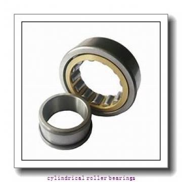 SKF RNU204 ECP Cylindrical Roller Bearings