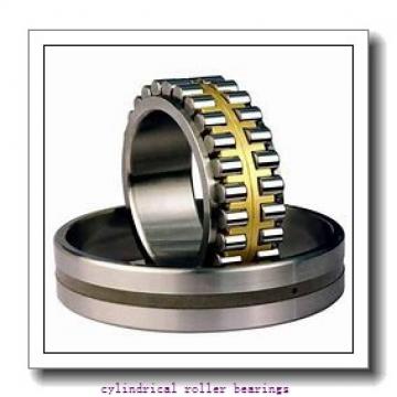 Link-Belt MA1307 Cylindrical Roller Bearings