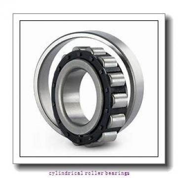 Link-Belt MU1309UM Cylindrical Roller Bearings