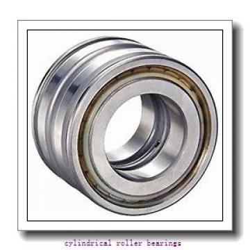 50 mm x 110 mm x mm  Rollway NU 310 EM Cylindrical Roller Bearings
