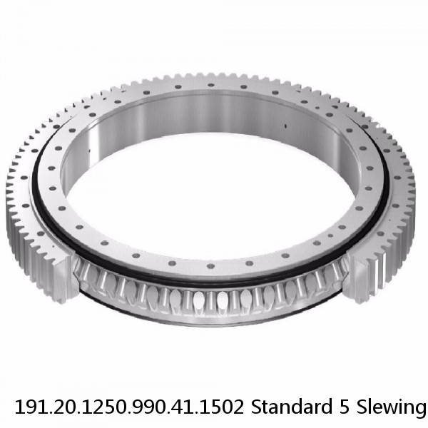 191.20.1250.990.41.1502 Standard 5 Slewing Ring Bearings