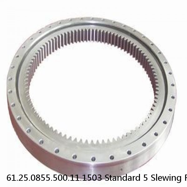 61.25.0855.500.11.1503 Standard 5 Slewing Ring Bearings