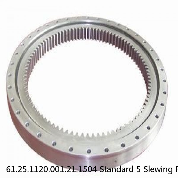 61.25.1120.001.21.1504 Standard 5 Slewing Ring Bearings