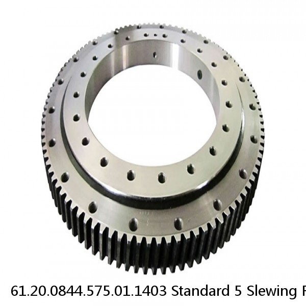 61.20.0844.575.01.1403 Standard 5 Slewing Ring Bearings