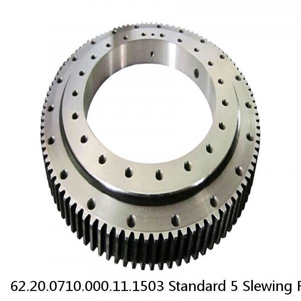 62.20.0710.000.11.1503 Standard 5 Slewing Ring Bearings