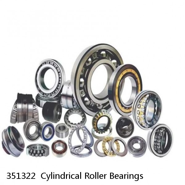 351322  Cylindrical Roller Bearings