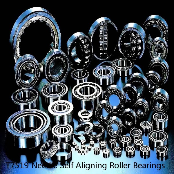 T7519 Needle Self Aligning Roller Bearings