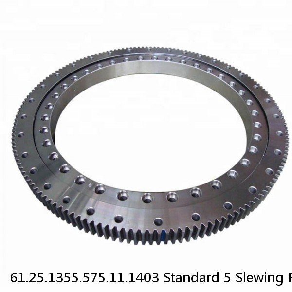 61.25.1355.575.11.1403 Standard 5 Slewing Ring Bearings