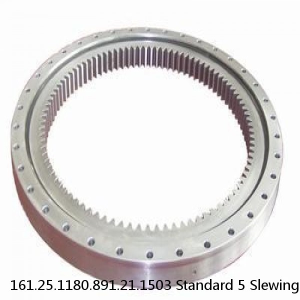 161.25.1180.891.21.1503 Standard 5 Slewing Ring Bearings