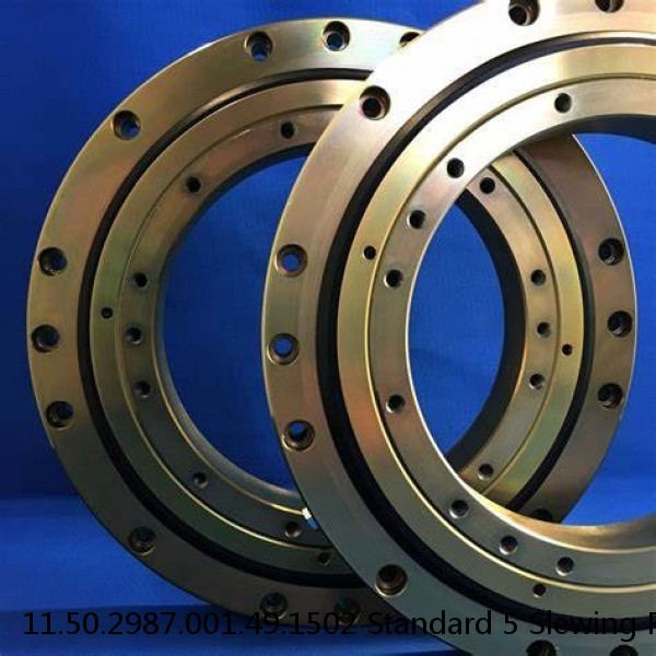 11.50.2987.001.49.1502 Standard 5 Slewing Ring Bearings