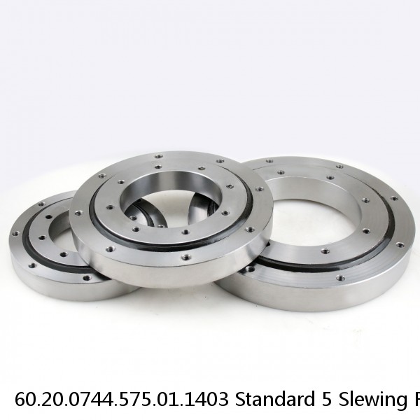 60.20.0744.575.01.1403 Standard 5 Slewing Ring Bearings