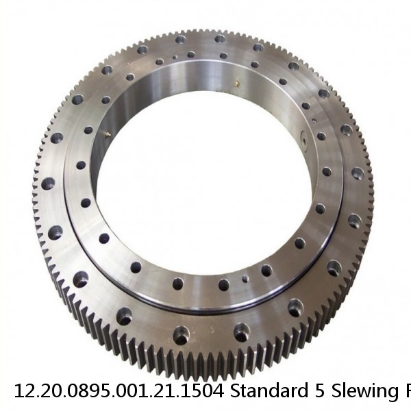 12.20.0895.001.21.1504 Standard 5 Slewing Ring Bearings