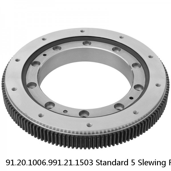 91.20.1006.991.21.1503 Standard 5 Slewing Ring Bearings