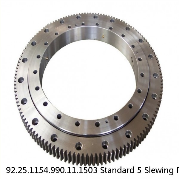 92.25.1154.990.11.1503 Standard 5 Slewing Ring Bearings