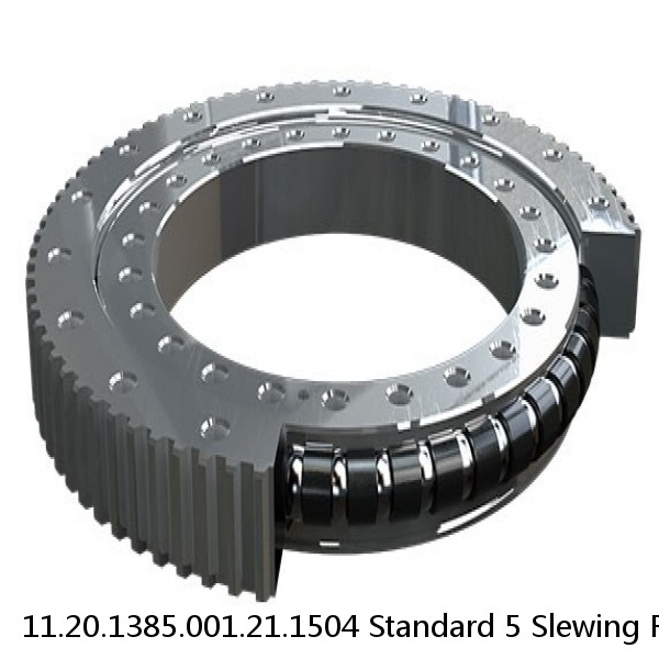 11.20.1385.001.21.1504 Standard 5 Slewing Ring Bearings