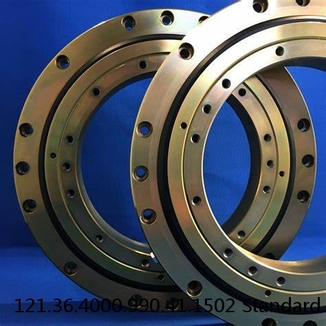 121.36.4000.990.41.1502 Standard 5 Slewing Ring Bearings