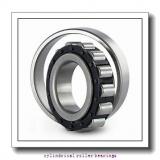 RHP LRJ 1-3/4 Cylindrical Roller Bearings