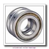 90 mm x 160 mm x mm  Rollway NU 218 EM C3 Cylindrical Roller Bearings